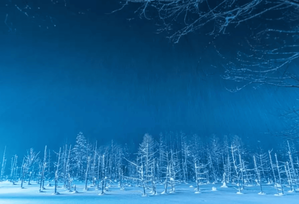 【日本冬季旅遊｜1. 北海道美瑛青池】